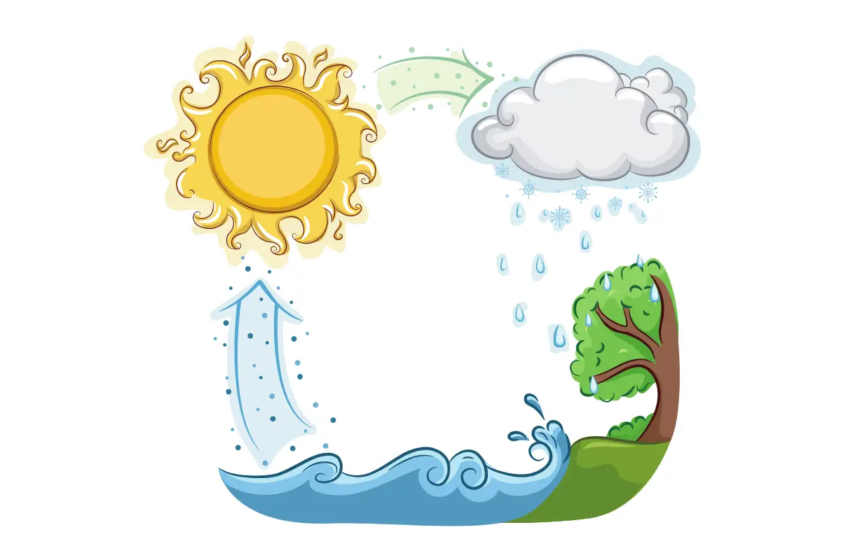 Water Cycle Soft Tone Stock Vector (Royalty Free) 1061226461 | Shutterstock