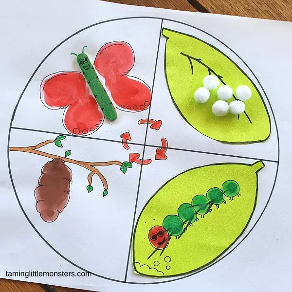 Fun and Easy Butterfly Life Cycle Activity for Kids - Taming